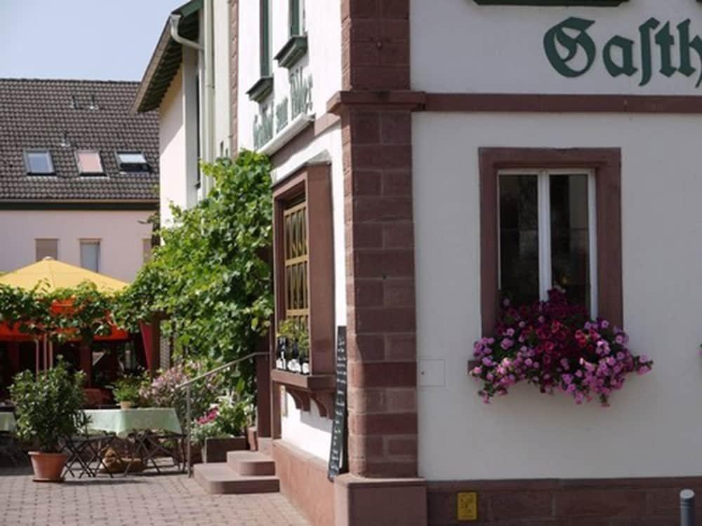 Adler Landhotel Bürgstadt Exteriér fotografie